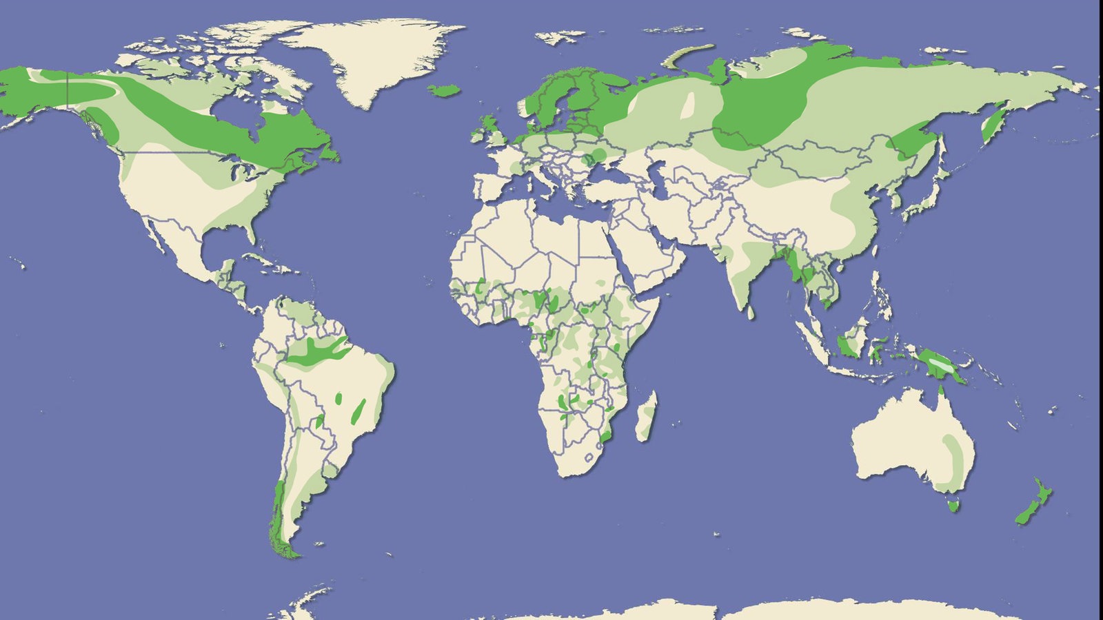 Landschaften: Moore - Lebensraum Moor - Landschaften - Natur - Planet