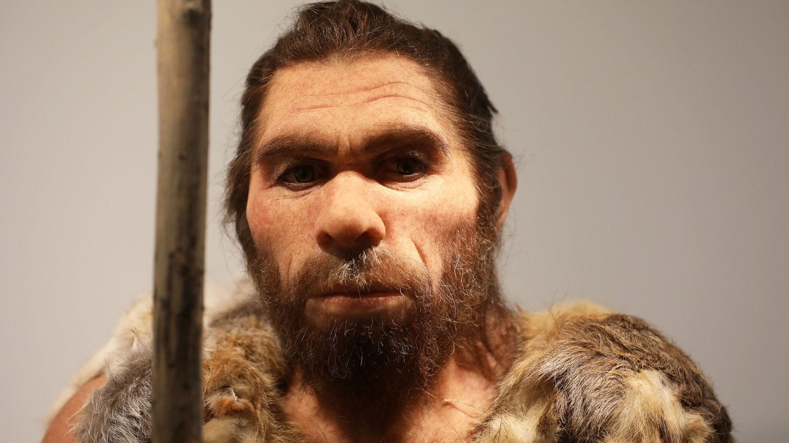 Neandertaler-Warum-starben-die-Neandertaler-aus-