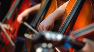 Cellisten in einem Orchester