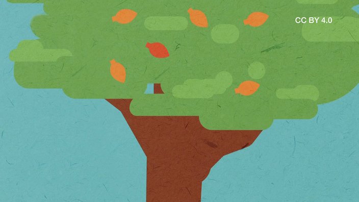 Screenshot aus dem Film "Warum färben sich im Herbst die Blätter?"
