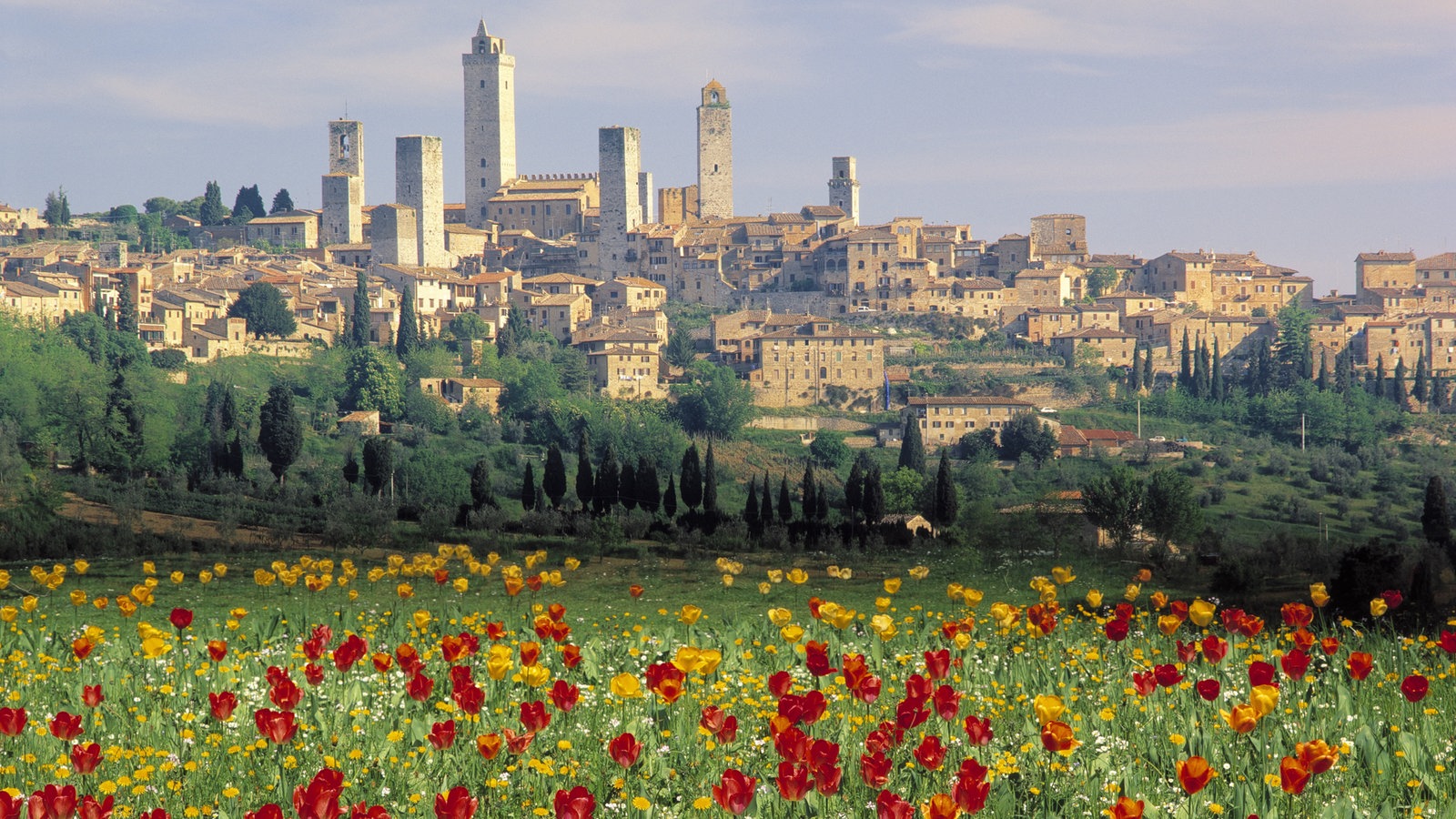 Blick durch ein rotes Mohnfeld auf die Silhouette der Stadt San Gimignano