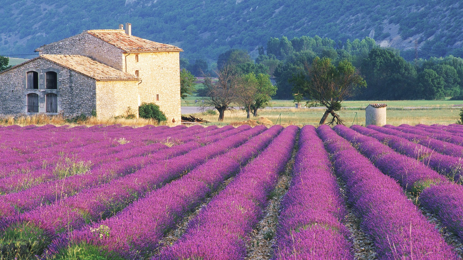 Westeuropa: Provence - Westeuropa - Kultur - Planet Wissen