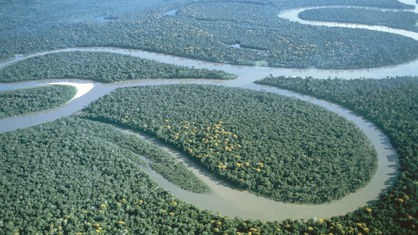 Kongo: Kongobecken - Kongo - Flüsse und Seen - Natur ...