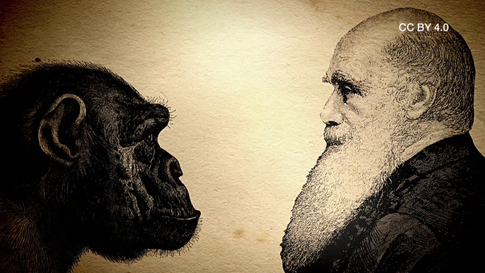 Screenshot aus dem Film "Was besagt Darwins Evolutionstheorie?"