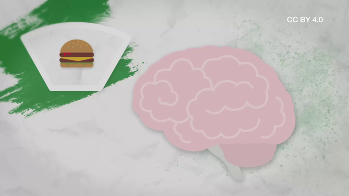 Screenshot aus dem Film "Wie wirkt Werbung auf unser Gehirn?
