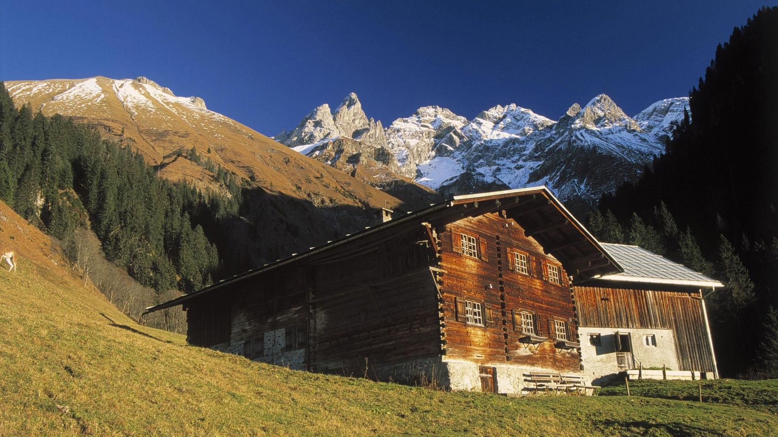 Gebirge Allgäu Allgäu Gebirge Natur Wissen