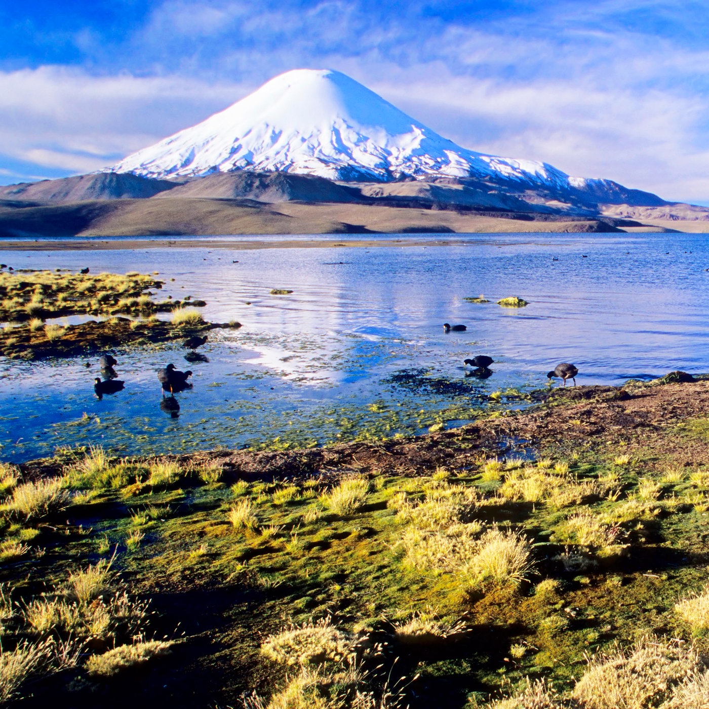 Gebirge Anden Anden Gebirge Natur Planet Wissen