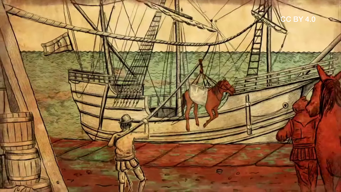 Screenshot aus dem Film "Wie kamen die Pferde nach Amerika?"