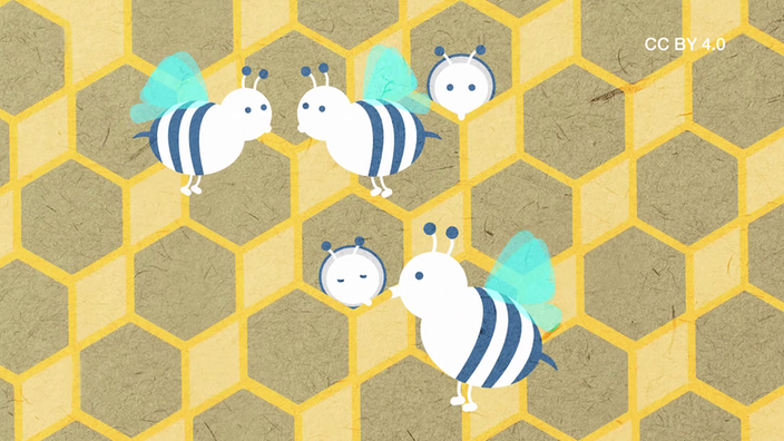 Screenshot aus dem Film "So entsteht Bienenhonig"