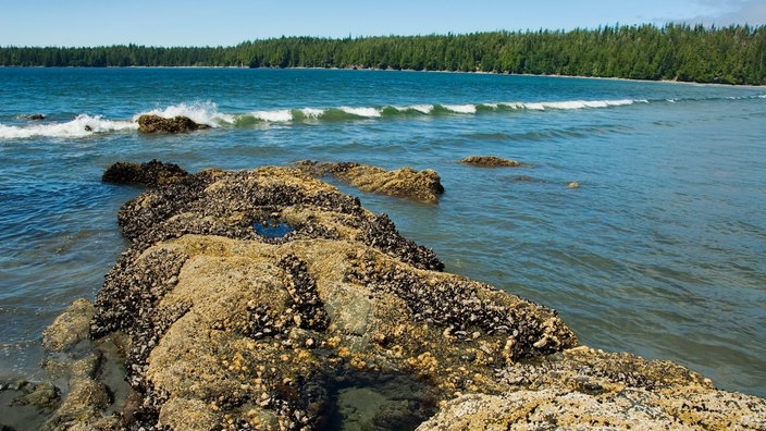 Meer Meereswellen Meereswellen Meer Natur Planet Wissen