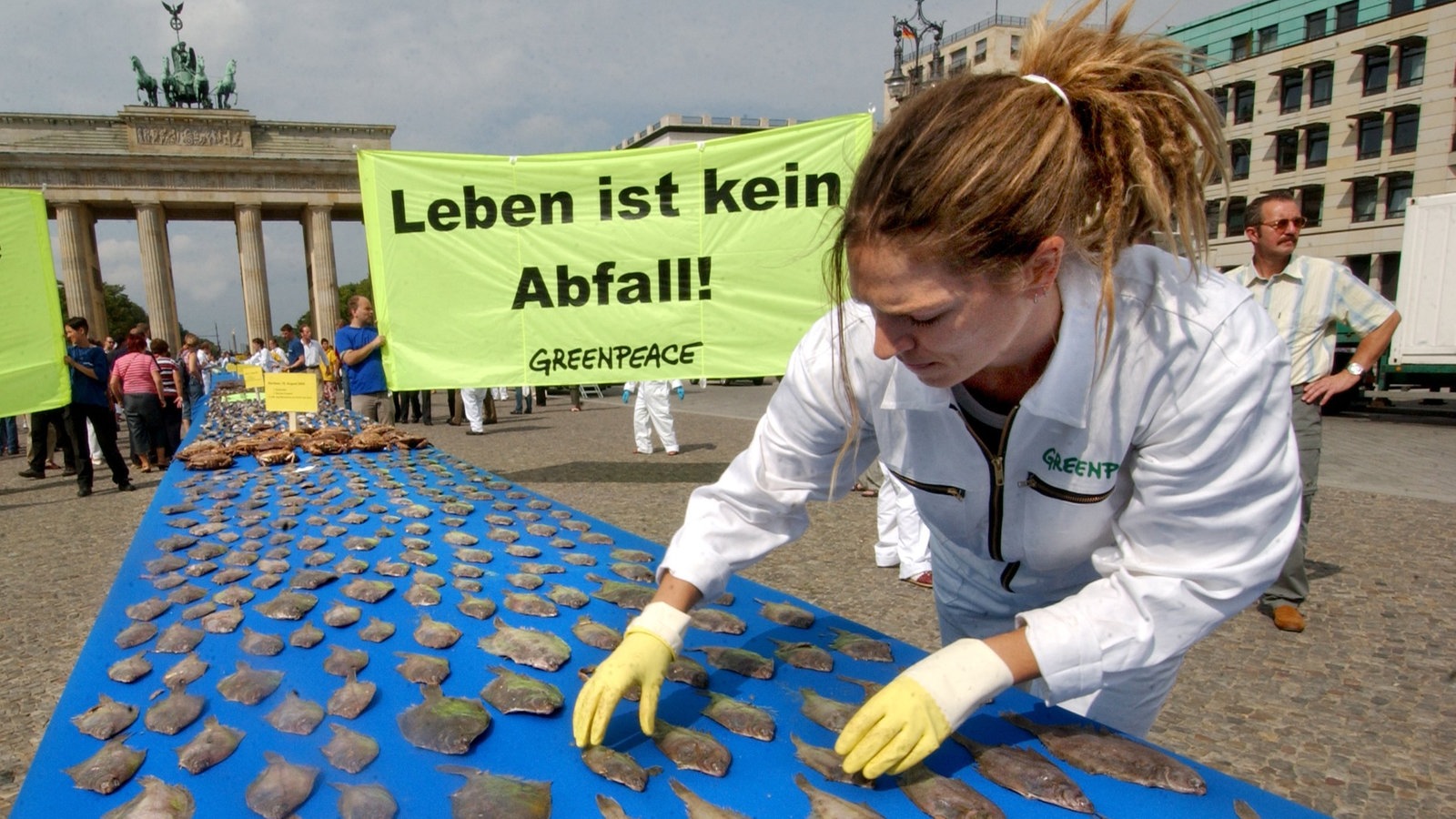 Überfischung Der Meere: Fangmethoden - Überfischung Der Meere - Meer ...