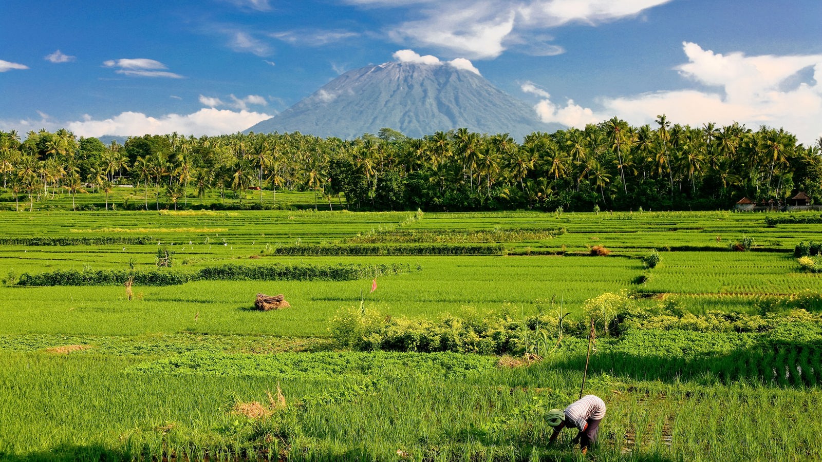 Vulkanausbruch  auf Bali  Gefahr durch Asche WDR 5 