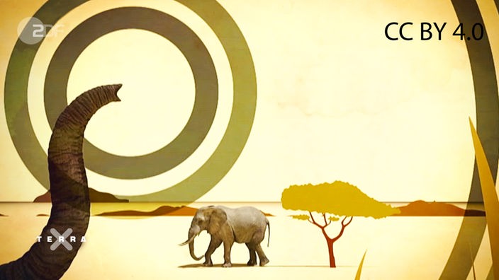 Screenshot aus dem Film "Infraschall - Wie Elefanten kommunizieren"