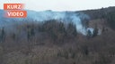 Aus einem Waldstück in Arnsberg steigt Rauch hervor