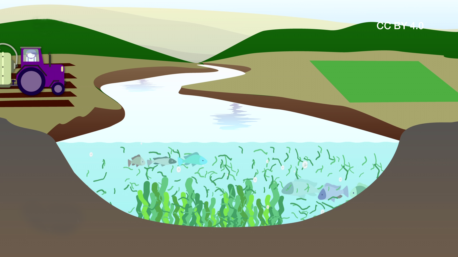 Bedrohtes Ökosystem Fluss - Lebensraum Fluss - Flüsse und Seen - Natur ...