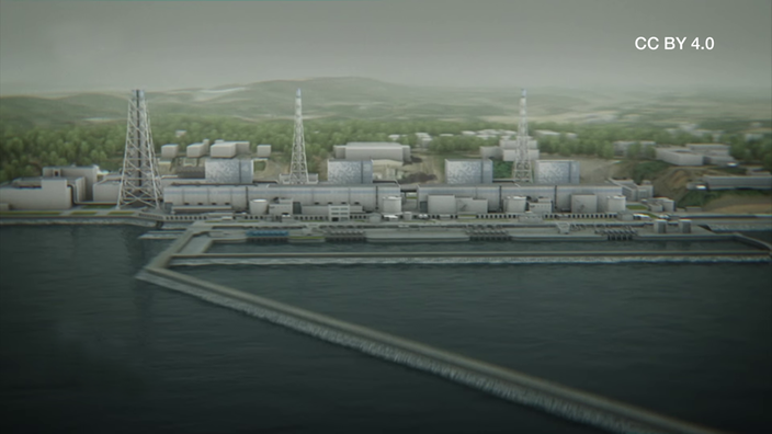 Screenshot aus dem Film "Die Katastrophe von Fukushima"